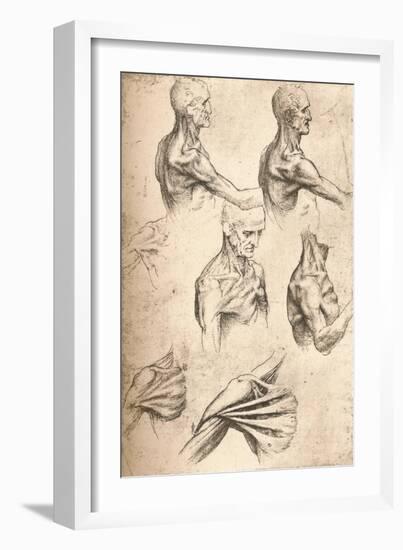 Anatomical Drawing, C1472-C1519 (1883)-Leonardo da Vinci-Framed Giclee Print