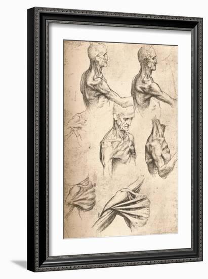 Anatomical Drawing, C1472-C1519 (1883)-Leonardo da Vinci-Framed Giclee Print