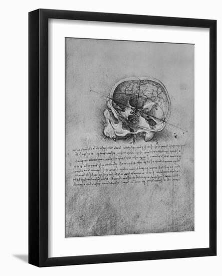 'Anatomical Drawing of a Skull to the Left', c1480 (1945)-Leonardo Da Vinci-Framed Giclee Print