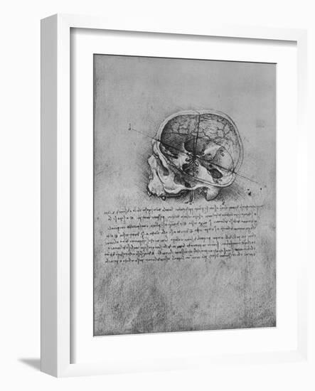 'Anatomical Drawing of a Skull to the Left', c1480 (1945)-Leonardo Da Vinci-Framed Giclee Print