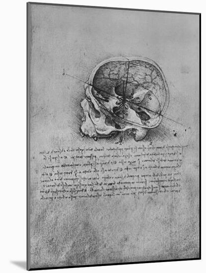 'Anatomical Drawing of a Skull to the Left', c1480 (1945)-Leonardo Da Vinci-Mounted Giclee Print