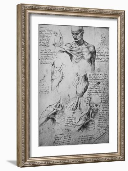 'Anatomical Drawings of a Man's Neck and Shoulders', c1480 (1945)-Leonardo Da Vinci-Framed Giclee Print