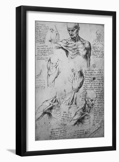 'Anatomical Drawings of a Man's Neck and Shoulders', c1480 (1945)-Leonardo Da Vinci-Framed Giclee Print