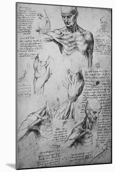 'Anatomical Drawings of a Man's Neck and Shoulders', c1480 (1945)-Leonardo Da Vinci-Mounted Giclee Print