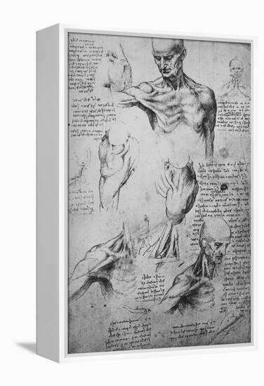 'Anatomical Drawings of a Man's Neck and Shoulders', c1480 (1945)-Leonardo Da Vinci-Framed Premier Image Canvas