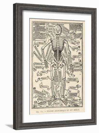 Anatomical Figure-null-Framed Art Print