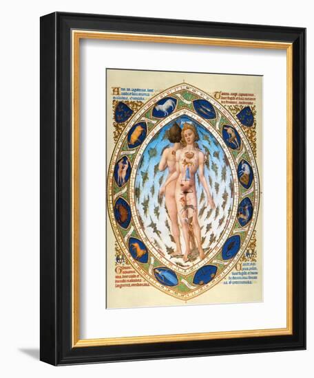 Anatomical Man-null-Framed Giclee Print