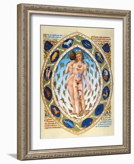 Anatomical Man-null-Framed Giclee Print