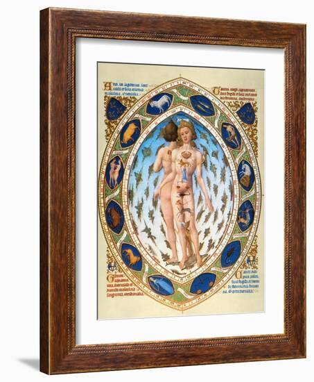 Anatomical Man-null-Framed Giclee Print