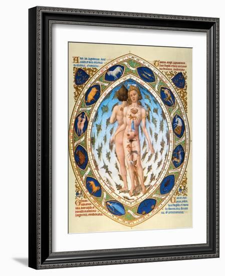 Anatomical Man-null-Framed Giclee Print