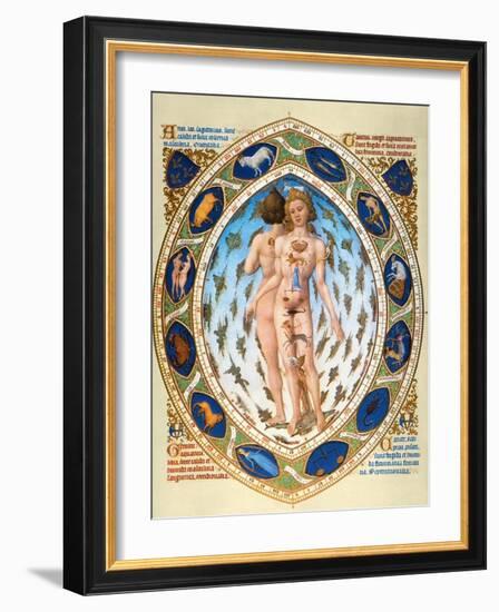 Anatomical Man-null-Framed Giclee Print