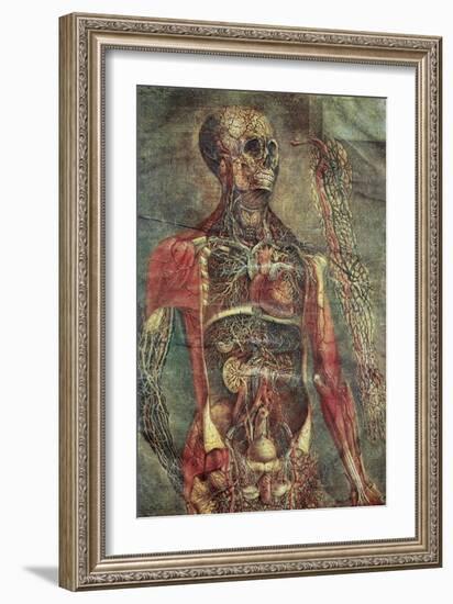 Anatomical Model, 18th Century-Science Photo Library-Framed Photographic Print