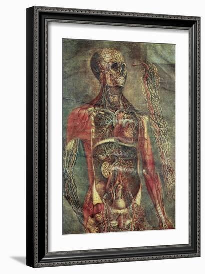Anatomical Model, 18th Century-Science Photo Library-Framed Photographic Print