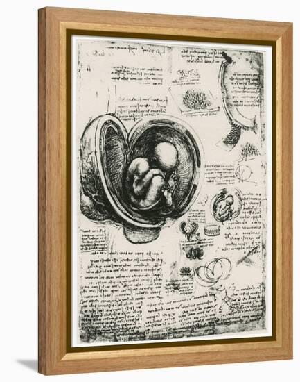 Anatomical Sketch of a Human Foetus in the Womb, C1510-Leonardo da Vinci-Framed Premier Image Canvas