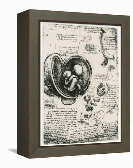 Anatomical Sketch of a Human Foetus in the Womb, C1510-Leonardo da Vinci-Framed Premier Image Canvas