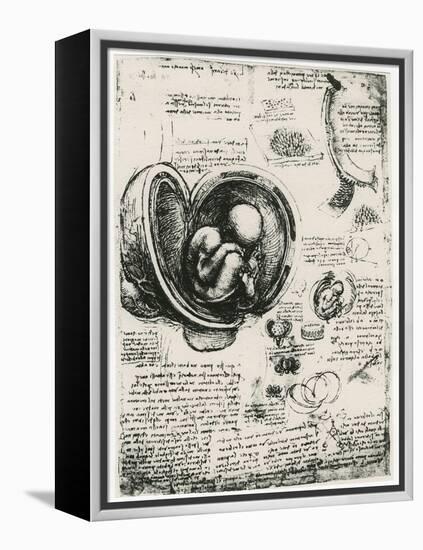 Anatomical Sketch of a Human Foetus in the Womb, C1510-Leonardo da Vinci-Framed Premier Image Canvas