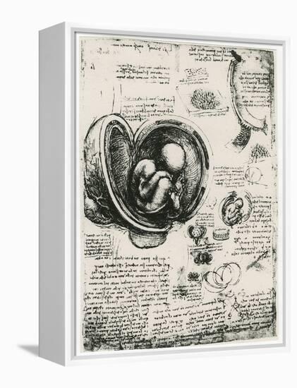 Anatomical Sketch of a Human Foetus in the Womb, C1510-Leonardo da Vinci-Framed Premier Image Canvas