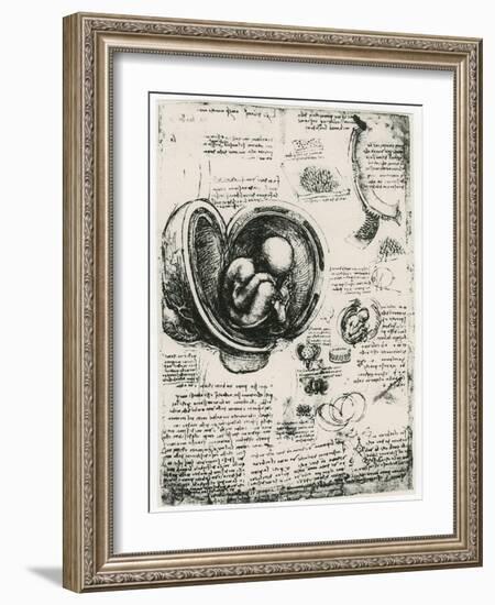 Anatomical Sketch of a Human Foetus in the Womb, C1510-Leonardo da Vinci-Framed Giclee Print