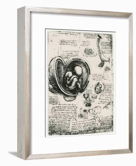 Anatomical Sketch of a Human Foetus in the Womb, C1510-Leonardo da Vinci-Framed Giclee Print