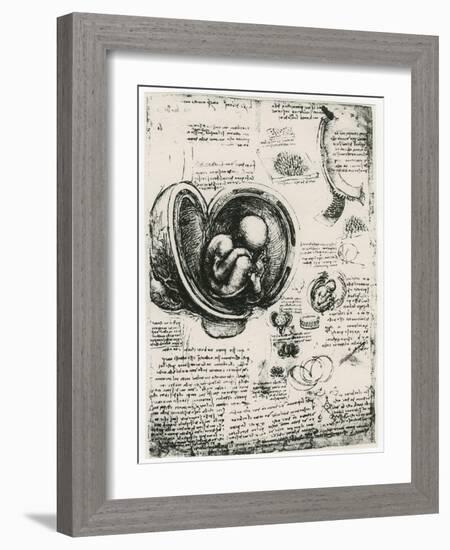 Anatomical Sketch of a Human Foetus in the Womb, C1510-Leonardo da Vinci-Framed Giclee Print