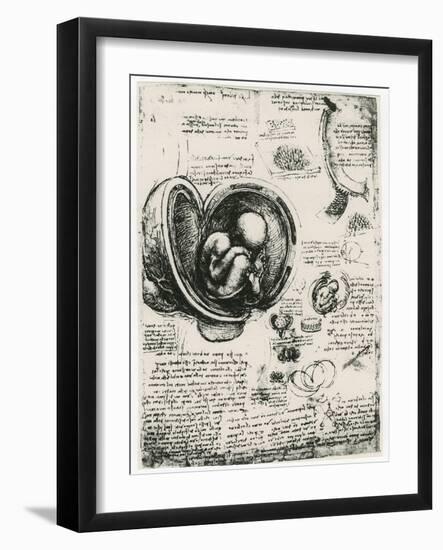 Anatomical Sketch of a Human Foetus in the Womb, C1510-Leonardo da Vinci-Framed Giclee Print