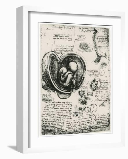 Anatomical Sketch of a Human Foetus in the Womb, C1510-Leonardo da Vinci-Framed Giclee Print