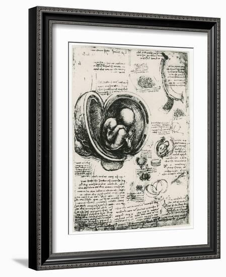 Anatomical Sketch of a Human Foetus in the Womb, C1510-Leonardo da Vinci-Framed Giclee Print