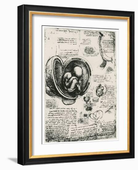 Anatomical Sketch of a Human Foetus in the Womb, C1510-Leonardo da Vinci-Framed Giclee Print