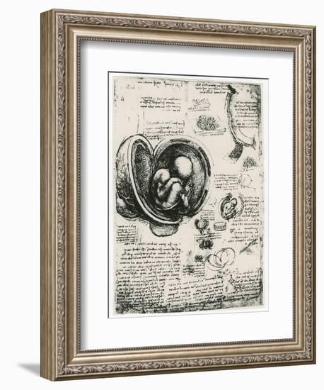 Anatomical Sketch of a Human Foetus in the Womb, C1510-Leonardo da Vinci-Framed Giclee Print