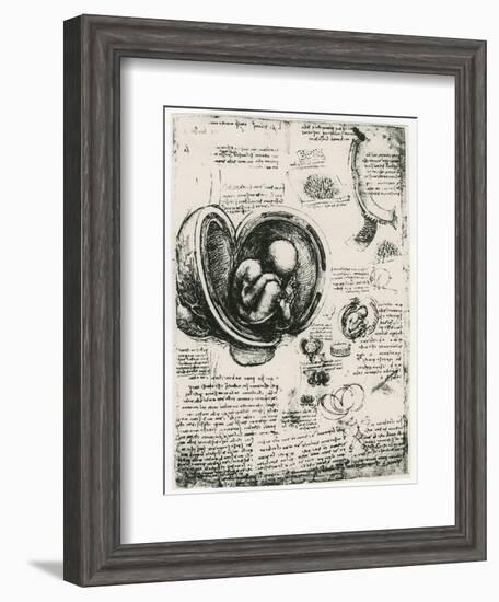 Anatomical Sketch of a Human Foetus in the Womb, C1510-Leonardo da Vinci-Framed Giclee Print