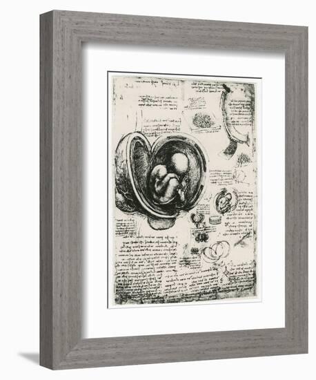 Anatomical Sketch of a Human Foetus in the Womb, C1510-Leonardo da Vinci-Framed Giclee Print