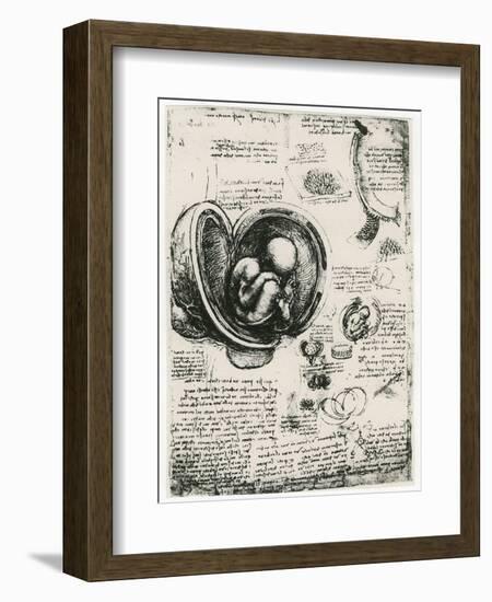 Anatomical Sketch of a Human Foetus in the Womb, C1510-Leonardo da Vinci-Framed Giclee Print