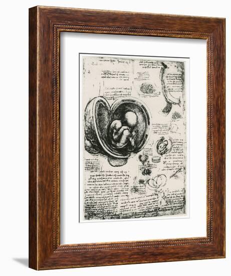 Anatomical Sketch of a Human Foetus in the Womb, C1510-Leonardo da Vinci-Framed Giclee Print