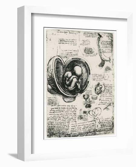 Anatomical Sketch of a Human Foetus in the Womb, C1510-Leonardo da Vinci-Framed Giclee Print