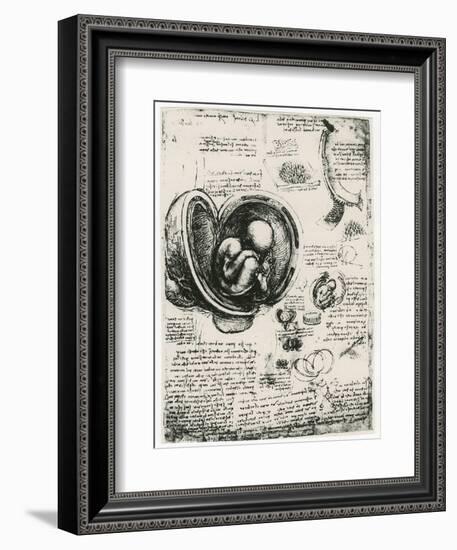 Anatomical Sketch of a Human Foetus in the Womb, C1510-Leonardo da Vinci-Framed Giclee Print