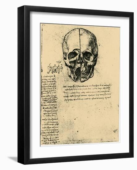 Anatomical Sketch of a Human Skull, C1472-1519-Leonardo da Vinci-Framed Giclee Print