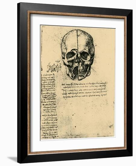 Anatomical Sketch of a Human Skull, C1472-1519-Leonardo da Vinci-Framed Giclee Print