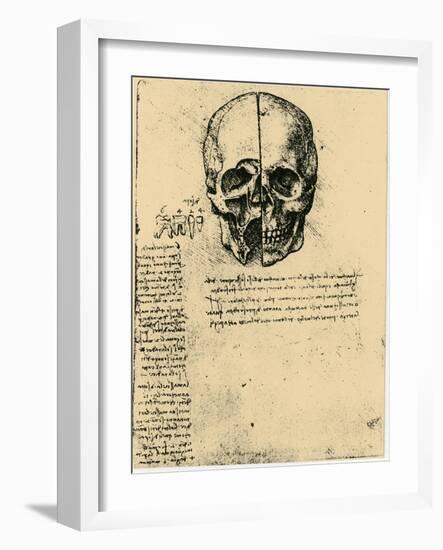 Anatomical Sketch of a Human Skull, C1472-1519-Leonardo da Vinci-Framed Giclee Print