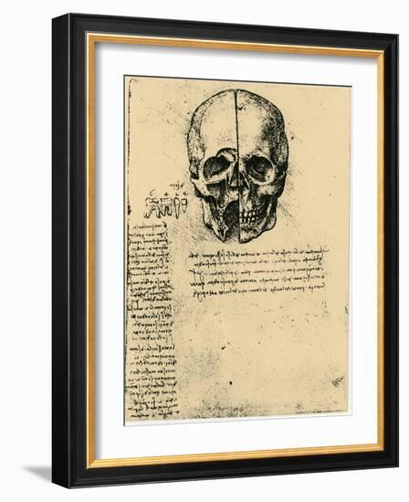 Anatomical Sketch of a Human Skull, C1472-1519-Leonardo da Vinci-Framed Giclee Print