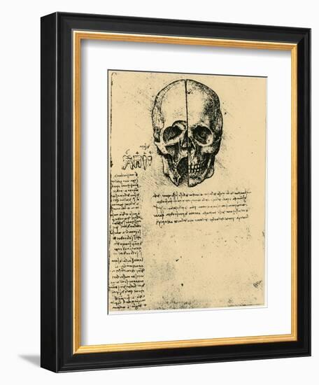 Anatomical Sketch of a Human Skull, C1472-1519-Leonardo da Vinci-Framed Giclee Print