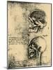 Anatomical Sketch; Two Studies of a Human Skull, C1489-Leonardo da Vinci-Mounted Giclee Print