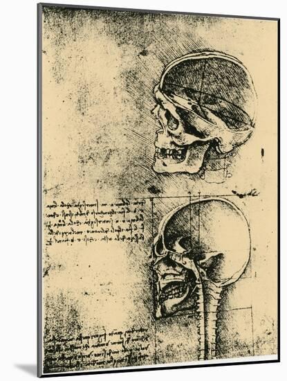 Anatomical Sketch; Two Studies of a Human Skull, C1489-Leonardo da Vinci-Mounted Giclee Print