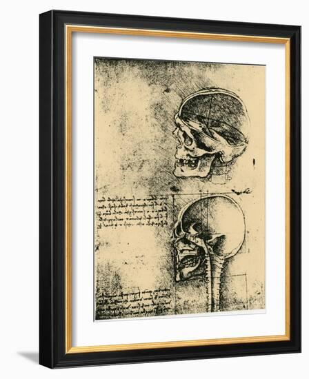 Anatomical Sketch; Two Studies of a Human Skull, C1489-Leonardo da Vinci-Framed Giclee Print