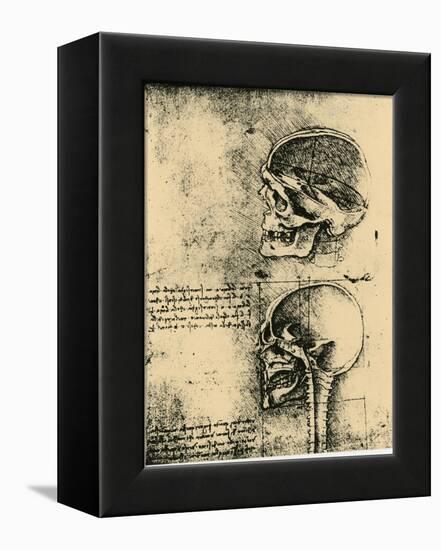 Anatomical Sketch; Two Studies of a Human Skull, C1489-Leonardo da Vinci-Framed Premier Image Canvas