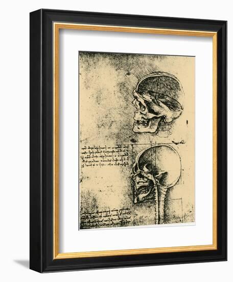 Anatomical Sketch; Two Studies of a Human Skull, C1489-Leonardo da Vinci-Framed Giclee Print