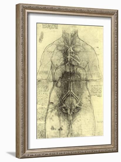 Anatomical Structure-Leonardo da Vinci-Framed Giclee Print