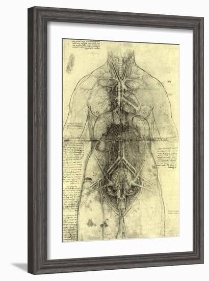 Anatomical Structure-Leonardo da Vinci-Framed Giclee Print