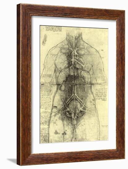 Anatomical Structure-Leonardo da Vinci-Framed Giclee Print