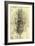 Anatomical Structure-Leonardo da Vinci-Framed Giclee Print