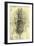 Anatomical Structure-Leonardo da Vinci-Framed Giclee Print